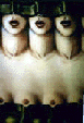Masques